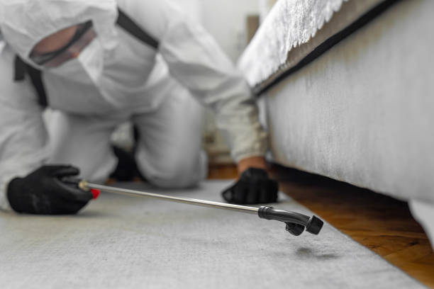 Professional Cockroach Control technician working in Quinlan, TX