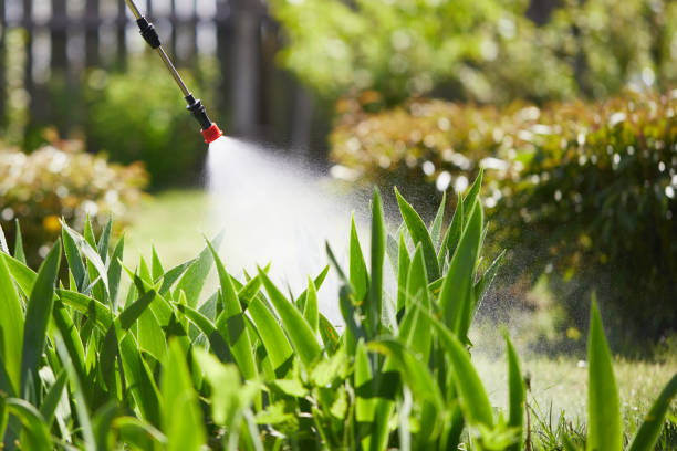 24/7 Emergency Cockroach Control experts in Quinlan, TX