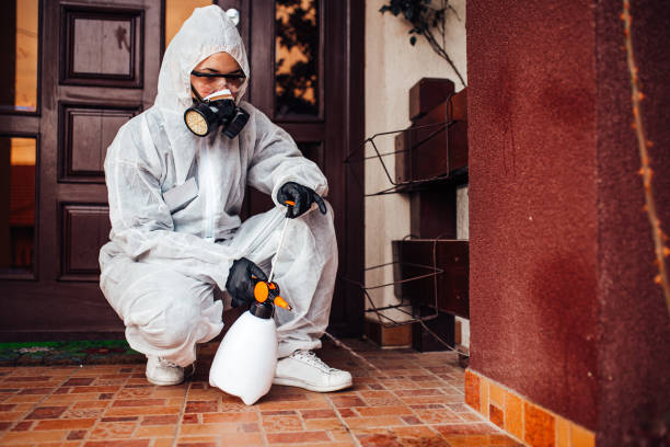 Reliable Cockroach Control contractor in Quinlan, TX by Nex Pest Control